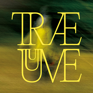 volt Design Web and Social media